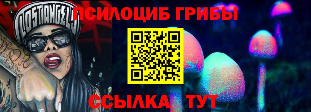 Псилоцибиновые грибы прущие грибы Ялта